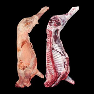 Lamb Carcass